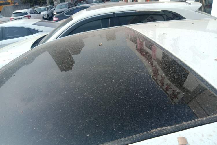 Used Toyota Venza 2022 2.0L CVT Two-Wheel Drive Prestige Edition
