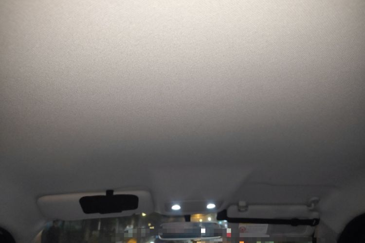 Used Leapmotor T03 2021 400 Micro-Sugar Version Headliner