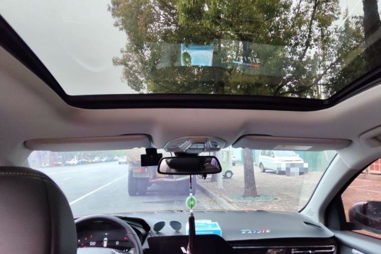 Used Wuling Victory 2020 1.5T CVT Flagship Edition Headliner