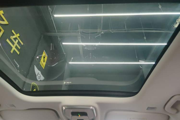 Used Hongqi E-HS9 2021 460 km Range Flagship Edition Six-Seater
