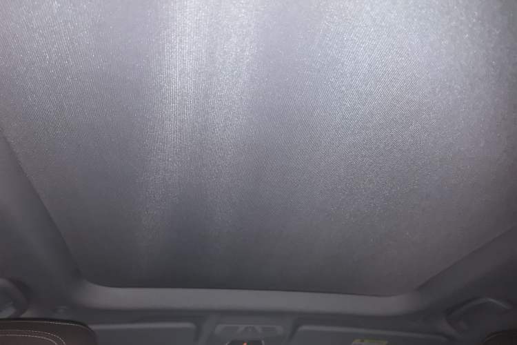 Used BMW X1 2018 xDrive20Li Luxury Model Headliner