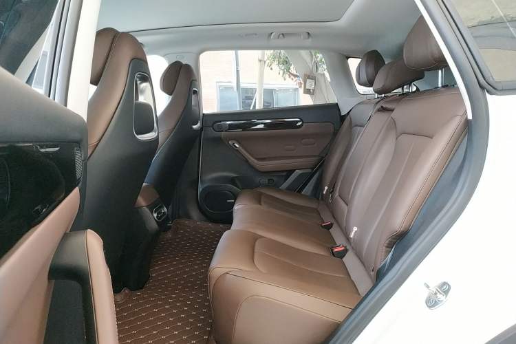 Used Leapmotor C11 2023 Pure Electric 500 Comfort Edition
