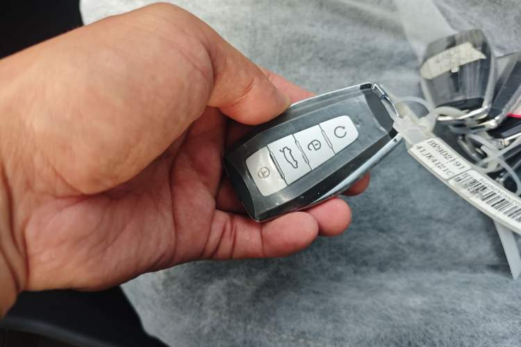 Used Geely Auto Monjaro L 2024 2.0TD DCT EVO Two-Wheel Drive Long-Range Version