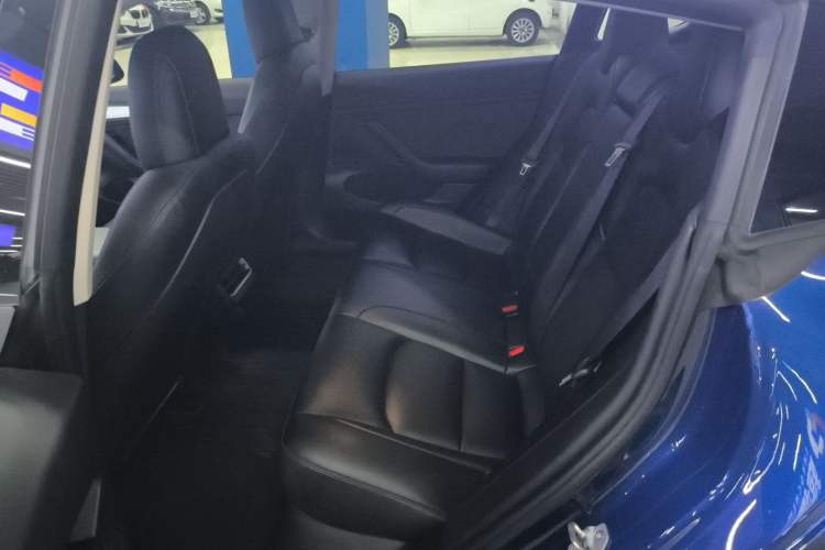 Used Tesla Model 3 2022 Rear-Wheel-Drive Version
