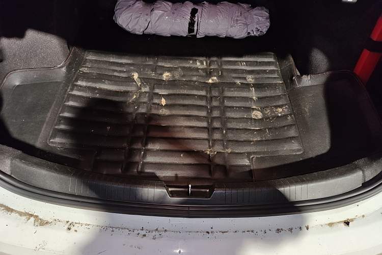 Used Chevrolet Malibu XL 2018 530T Automatic Luxury Edition Trunk