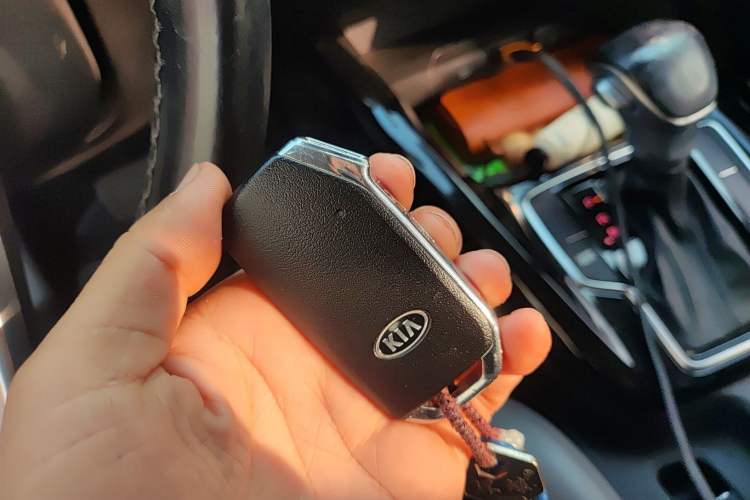 Used Kia Sportage R 2019 2.0L Automatic Smart Luxury Edition
