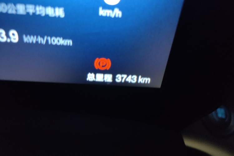 Used BYD Dolphin 2025 420km Free Edition Odometer Close Up