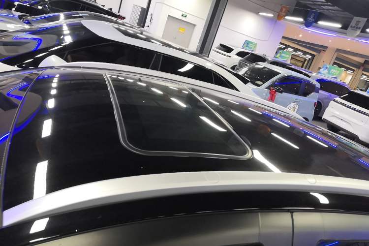 Used Geometry E Firefly 2022 401KM Lightning Tiger 4-Seater
