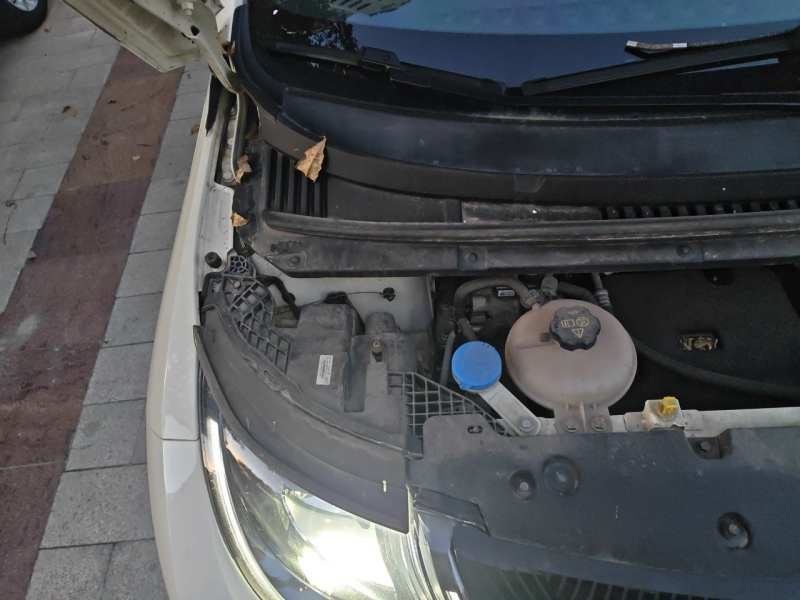 Used BYD Dolphin 2023 420 km Free Version — 22