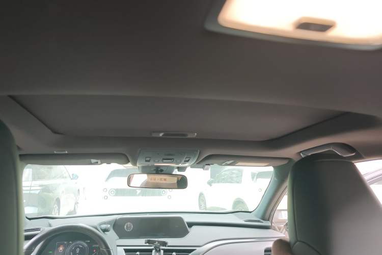 Used Lexus UX New Energy 2020 300e Pure·Joy Edition
