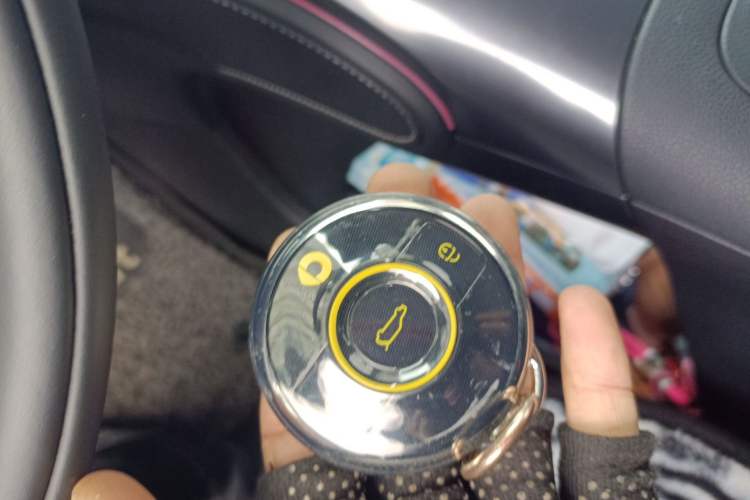 Used smart #1 2024 Dynamic Standard Edition Vehicle Key