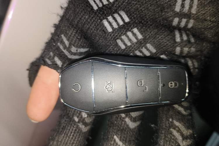 Used BYD Qin PLUS 2023 Champion Edition DM-i 55KM Leading Model
