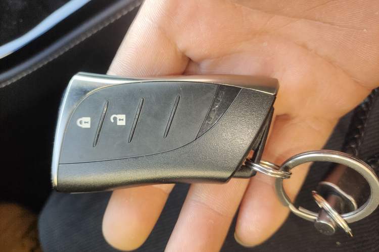 Used Lexus NX 2024 260 Front-Wheel Drive Chuanchi Edition