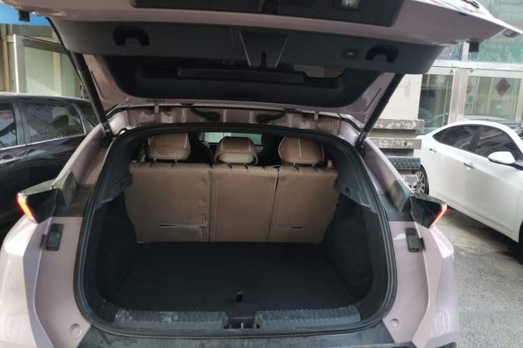 Used Lynk & Co Z20 2025 530 km Range Rear-Wheel Drive Max
