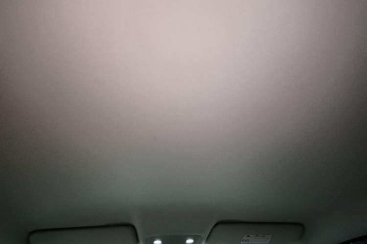 Used Leapmotor T03 2023 200 Lite Edition Headliner