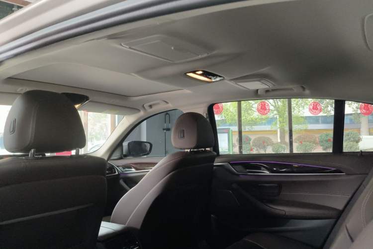 Used BMW 5 Series 2020 525Li Luxury Package Headliner