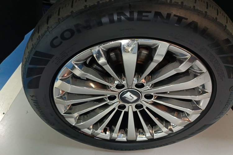 Used Tank 500 New Energy 2023 Hi4-T Exterior 4