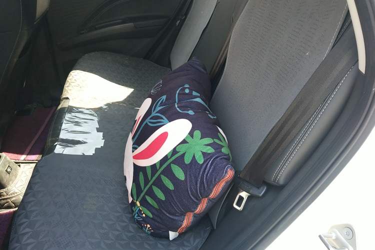 Used NETA V 2021 Long-Range Entertainment Edition Upgrade Model