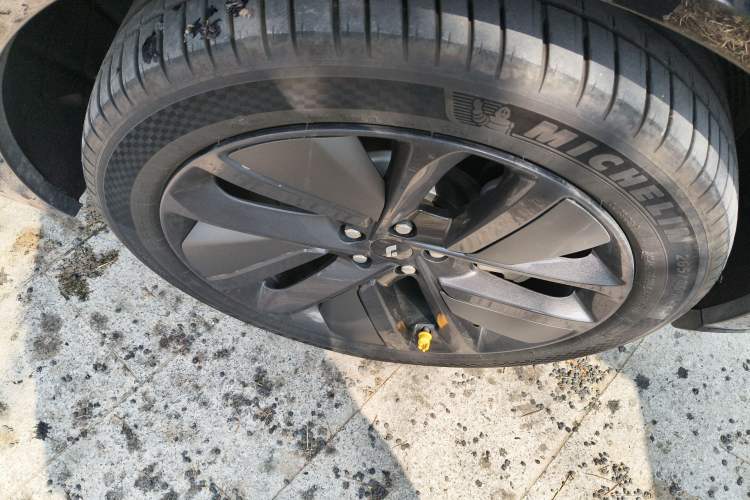 Used Li Auto L9 2023 Pro Model