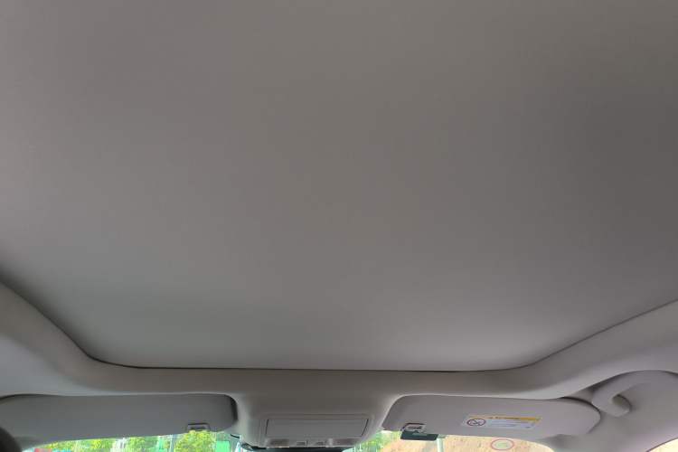 Used Ford Escape 2020 EcoBoost 245 Two-Wheel-Drive Titanium Edition Headliner