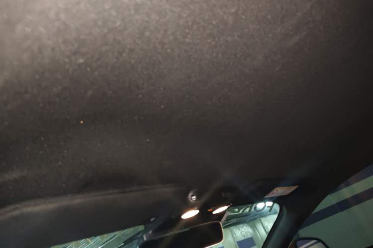 Used Ford Mustang 2019 2.3L EcoBoost Headliner