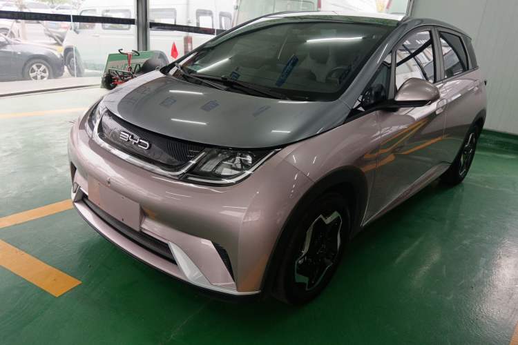 Used BYD Dolphin 2021 405 km Fashion Edition