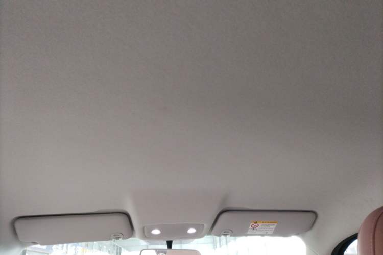 Used Leapmotor T03 2025 403 Comfort Edition Headliner