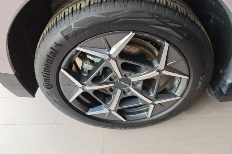 Used Lynk & Co Z20 2025 530 km Range Rear-Wheel Drive Max
