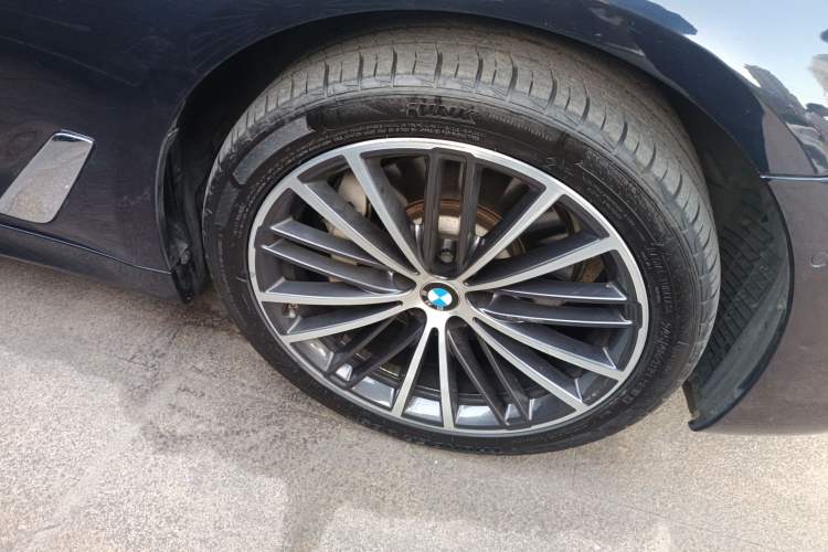 Used BMW 5 Series 2020 530Li Luxury Edition M Sport Package