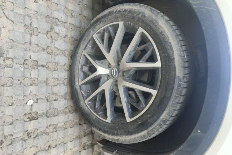 Used GAC Trumpchi GS8 2024 Linghang Series 2.0 TGDI Two-Wheel Drive Luxury Smart Connectivity Version
