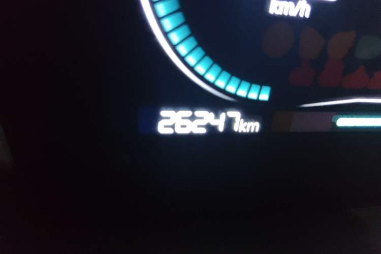 Used Leapmotor T03 2021 400 Micro-Sugar Version Odometer Close Up