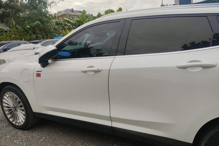 Used Wey P8 2018 2.0T Flagship Model

