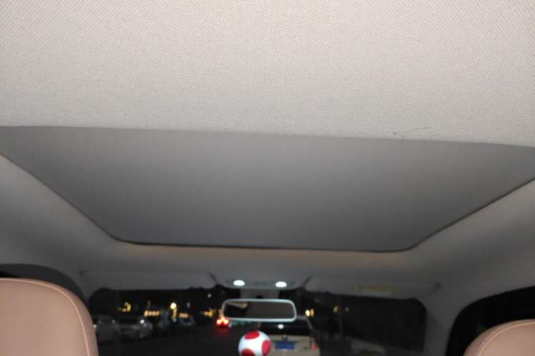 Used Leapmotor T03 2023 403 Smart Edition Headliner