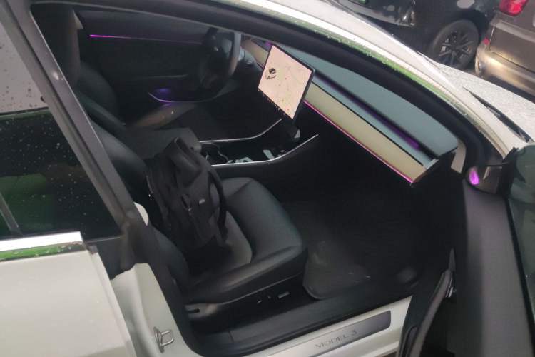 Used Tesla Model 3 2020 Standard Range Rear-Wheel Drive Upgraded Version
