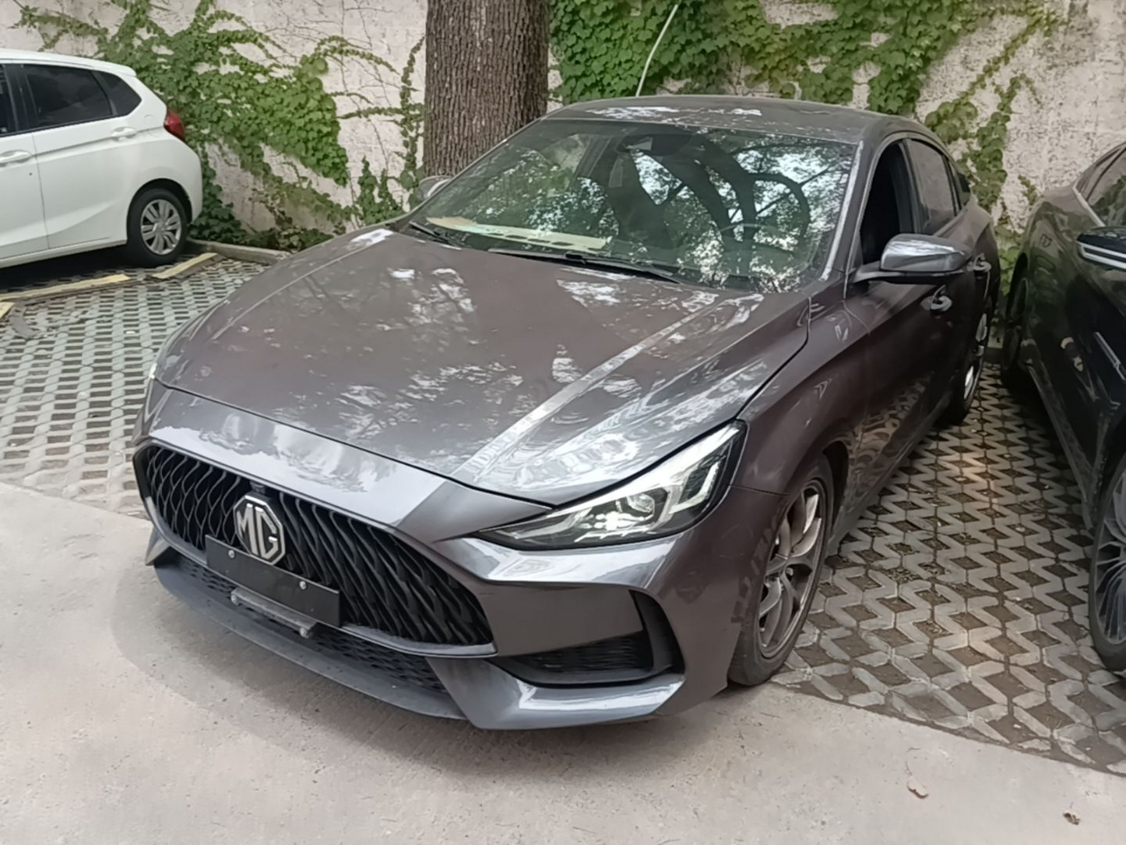 Under Front Bumper