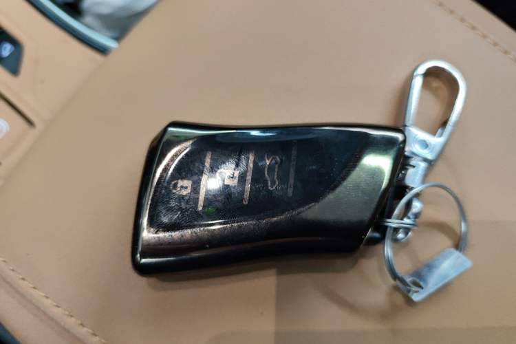 Used Lexus RX 2025 300 Four-Wheel Drive Junxiang Edition
