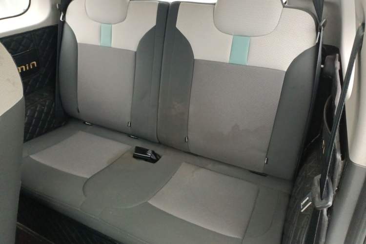 Used Qiyuan Lumin 2022 301km Honey-Sweet Version
