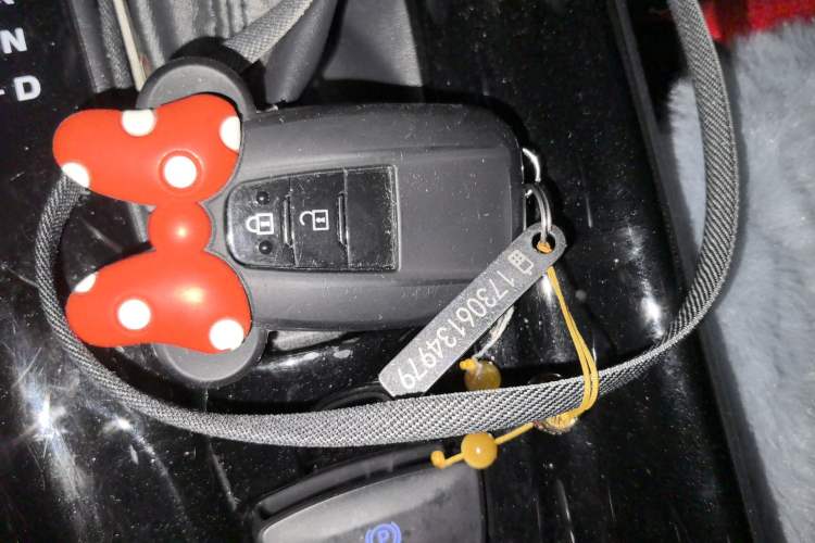 Used Toyota IZOA 2020 2.0L Enjoy Edition Vehicle Key