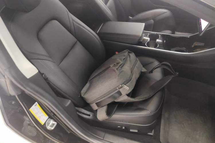 Used Tesla Model 3 2020 Revised Version Standard Range Rear-Wheel Drive – Upgraded Edition