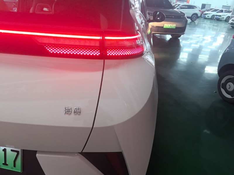 Used BYD Seagull 2025 Intelligent Driving Version 305 km Dynamic Edition — 7