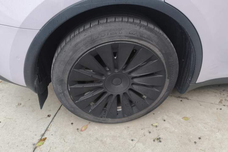 Used Tesla Model Y 2021 Standard Range Rear-Wheel Drive Version
