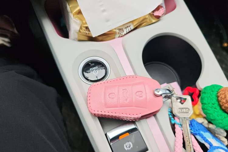 Used SOL E10X 2022 Flower Fairy Style Baby's Breath