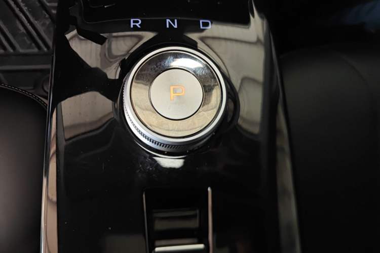 Used Geometry E Firefly 2022 401KM Lightning Tiger 4-Seater