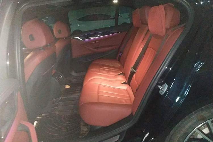 Used BMW 5 Series 2020 530Li Leading Model M Sport Package
