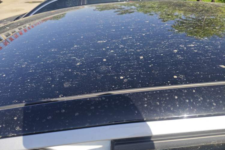 Used Volkswagen ID.7 VIZZION 2024 First Edition