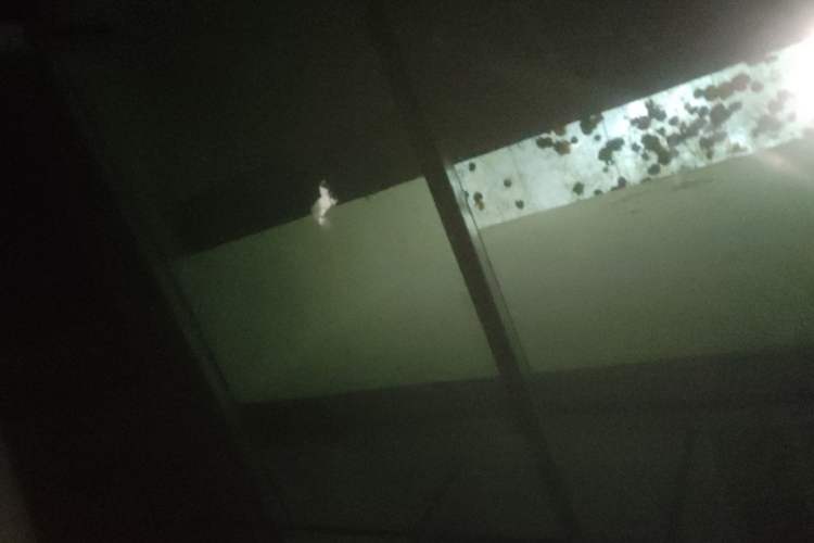 Used Tesla Model Y 2021 Long-Range All-Wheel-Drive Version