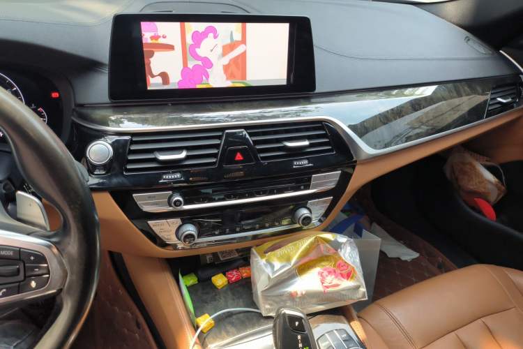 Used BMW 5 Series 2019 530Li Leading Model M Sport Package
