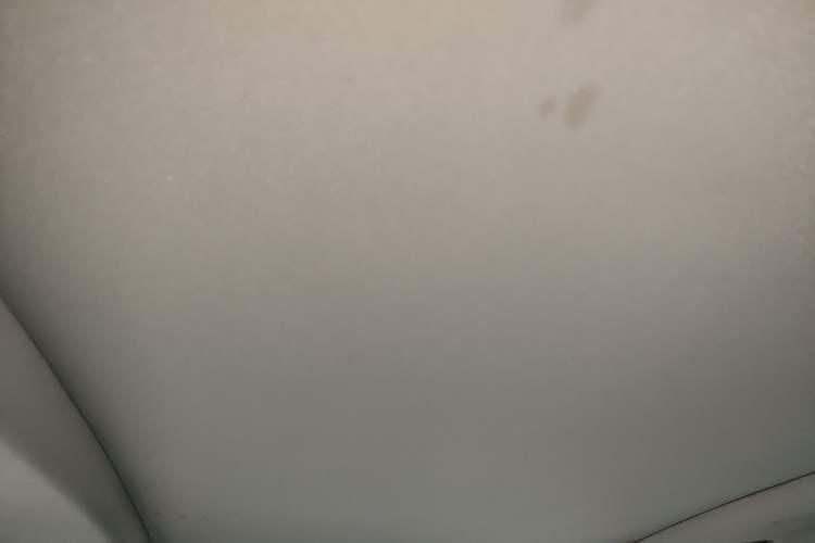 Used Ford Taurus 2015 EcoBoost 245 Luxury Model Headliner