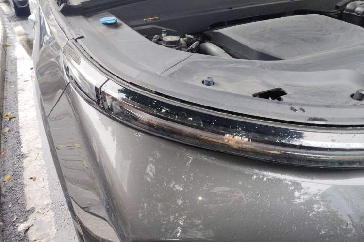 Used Li Auto L9 2022 Max model