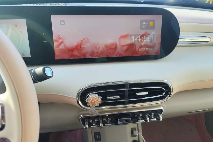 Used ORA Ballet Cat 2023 401 km Luxury Version
